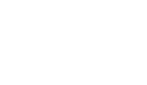 Nokia Logo
