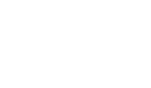 SAS Logo